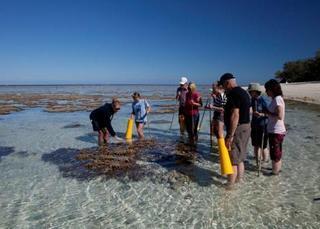 Lady Elliot Island Eco Resort Exterior foto